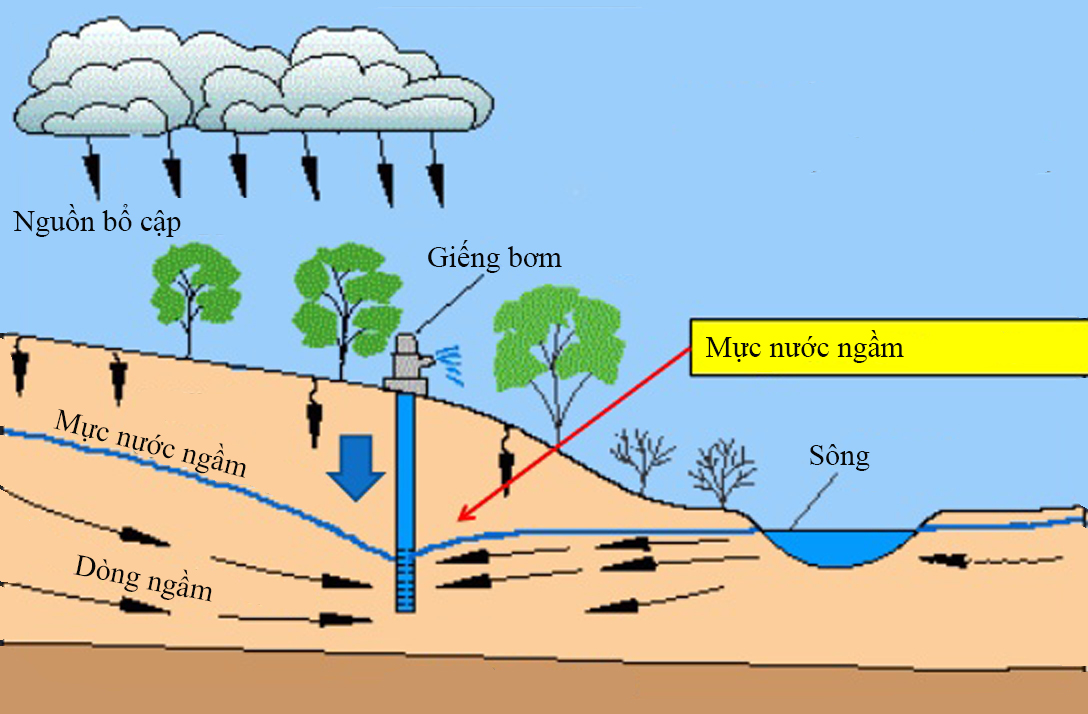 Nước ngàm là gì?